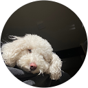 Aracelis C. profile picture